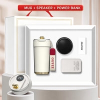 Coffret cadeau d'entreprise haut de gamme Mug + haut-parleur Bluetooth + batterie externe Logo personnalisé Articles de réunion Coffret cadeau d'affaires de luxe