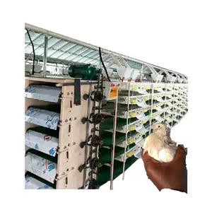 china manufacturer automatic quail farming plastic quail cage for breeding 400 quails