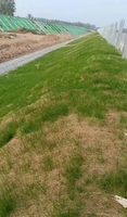 Couverture en fibres de coco pour renforcement du gazon, tapis biodégradable anti-érosion pour la protection des pentes