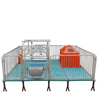 Nouveau enclos de gestation robuste pour truies, anti-collision, facile à nettoyer, galvanisé, adapté aux porcelets |   Équipement durable pour l'élevage porcin