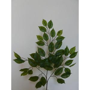 FOGLIA FICUS X42 RT 59CM GR - Product Image 1