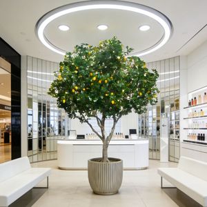 Árbol <span class=keywords><strong>de</strong></span> Limón Artificial Premium <span class=keywords><strong>de</strong></span> 3.8 Metros, Decoración para Restaurantes, Centros Comerciales y Salas <span class=keywords><strong>de</strong></span> Exposición, Planta Artificial con Frutos - Product Image 3