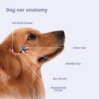 Nettoyant Auriculaire pour Chiens et Chats : Traitement Antiseptique et Antifongique pour Infections des Oreilles, Élimine les Odeurs de Levure et les Oreilles Tombantes