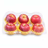 Boîte d'emballage transparente en plastique PET pour 6 pommes, conteneur de fruits recyclé en gros pour présentation