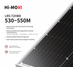 RISEN LONGI SUNTECH JA Tsun Paneles solares 610W 620W 630W 640W 650W Panel solar bifacial Panel solar para uso doméstico - Product Image 6