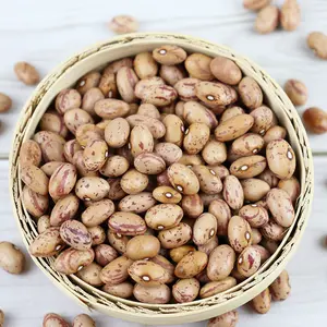 Kacang merah/biji ginjal spekled kacang putih/kacang merah untuk konsumsi manusia