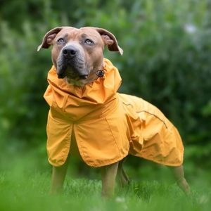 Dog <strong>Raincoat</strong> for Boys Premium <strong>Nylon</strong> Mesh Modern Waterproof Windproof Reflective Breathable Full-Body Coverage Mustard Yellow - Product Image 5