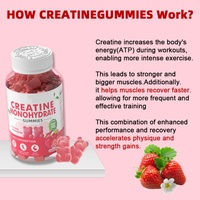 Gummies de créatine monohydrate 5000mg à marque privée OEM, supplément pré-entraînement à base de plantes, favorise la croissance musculaire et la force maximale