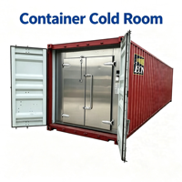 Conteneur frigorifique solaire High Cube 40HQ avec réfrigération sur réseau, congélation profonde -18°C, unité de condensation Emerson, panneaux PU personnalisés, automatique