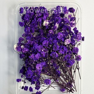 Mini paquetes de flores secas con tallo Pequeñas flores silvestres Arreglo floral de flores artificiales a granel para jarrón Boda Profesor - Product Image 6