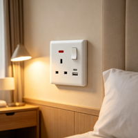 Prise murale OEM en gros avec interrupteur blanc, charge rapide USB Type C, 13A, pour panneau électrique