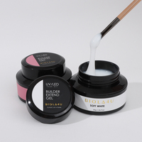 Reconstructible d'extensions d'ongles gel, produit de manucure professionnel, de marque, nail art