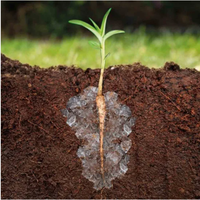 Polymère super absorbant SAP Méthode de mélange du sol conçue pour l'agriculture et la conservation de l'eau dans le sol