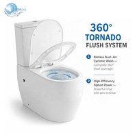 WC deux pièces, cuvette de toilettes, équipement sanitaire pour le marché argentin et sud-américain