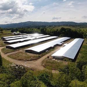 Granja de pollos de engorde profesional Casa de pollos de engorde Granja avícola Aves de Corral Pisos de plástico - Product Image 4