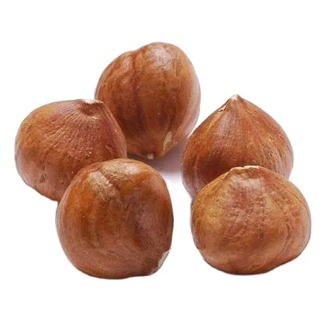 Hazelnuts/खोलीदार Hazelnuts गुठली/बिक्री के लिए थोक Hazelnuts गुठली सूखी Hazelnuts