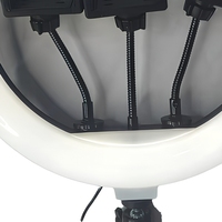 Mini Aro de Luz LED USB de Plástico, 3 Colores Ajustables, 12 Pulgadas, Luz para Selfies y Vlogs &amp;   Iluminación Fotográfica para Maquillaje