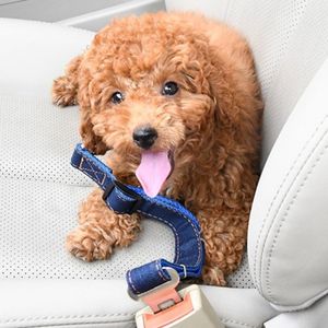 Tali kekang mobil kerah nilon anjing bergaris mewah dengan dekorasi pita pengaman teman berbulu Anda - Product Image 5
