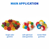 Compacte CTG-LD20 Semi-Automatische 3d Ntricate Mal Gummies Depositor Gummy Bears Fruit Slice Gummies Maken Machine