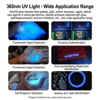 Linterna UV Multifuncional de Acero Inoxidable 304 de 365nm, Recargable Tipo-C, Portátil, Luz Negra EDC con Filtro de Lámpara de Wood