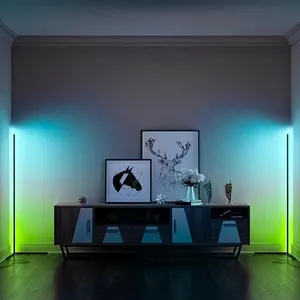 Led Corner Floor Lamp Modern Decoration Smart Corner Light Remote Controlled Tuya Support Google Alexa RGB LED Corner Floor Lamp For Living Room