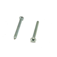 Vis de taraudage sur mesure 10 mm DIN7982 Système de mesure métrique et impérial Acier inoxydable Laiton Nickel - Tête ovale M3 M8 M4 Fabrication sur commande