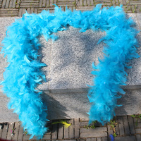 Boa en plumes de dinde épaisses et colorées de 80 g, blanc, pour fêtes, spectacles, danseuses, costumes de burlesque et décoration