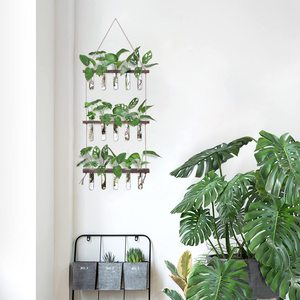 <span class=keywords><strong>Jardin</strong></span> Bureau Décoration AirPlants Cultiver terrarium mural suspendu pour plantes - Product Image 3