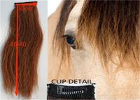Extension de cheveux de queue de cheval de Mongolie de couleur noire de 1/2 LB 85-90 CM de longueur fausse queue de cheval étendue