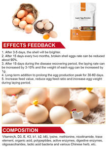 レイヤエッグブースターパウダーブースト卵生産は、生殖をサポートするカルシウムを追加した卵殻を強化します - Product Image 4