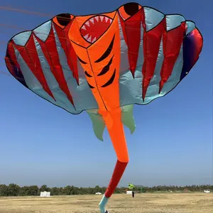 3D 12.5M 2 สีRay Soft Kiteชายหาดกลางแจ้งProfessional Kiteร่มผ้ากันน้ําและฉีกขาดทนพองPete