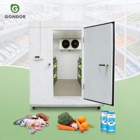 Conteneur frigorifique mobile alimentaire de 10 pieds pour grande pêcherie, chambre froide de stockage, nouvelle chambre de congélation, Cold Cube