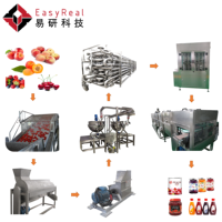 Machine Om Fruit Pasta Productielijn Fabriek Datum Pasta Maken Apparatuur
