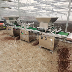 PS PET PVC bandejas de plástico utilizan máquina automática de bandeja de plántulas Semilla de flores vegetales enchufe de semillas máquina de plántulas - Product Image 2