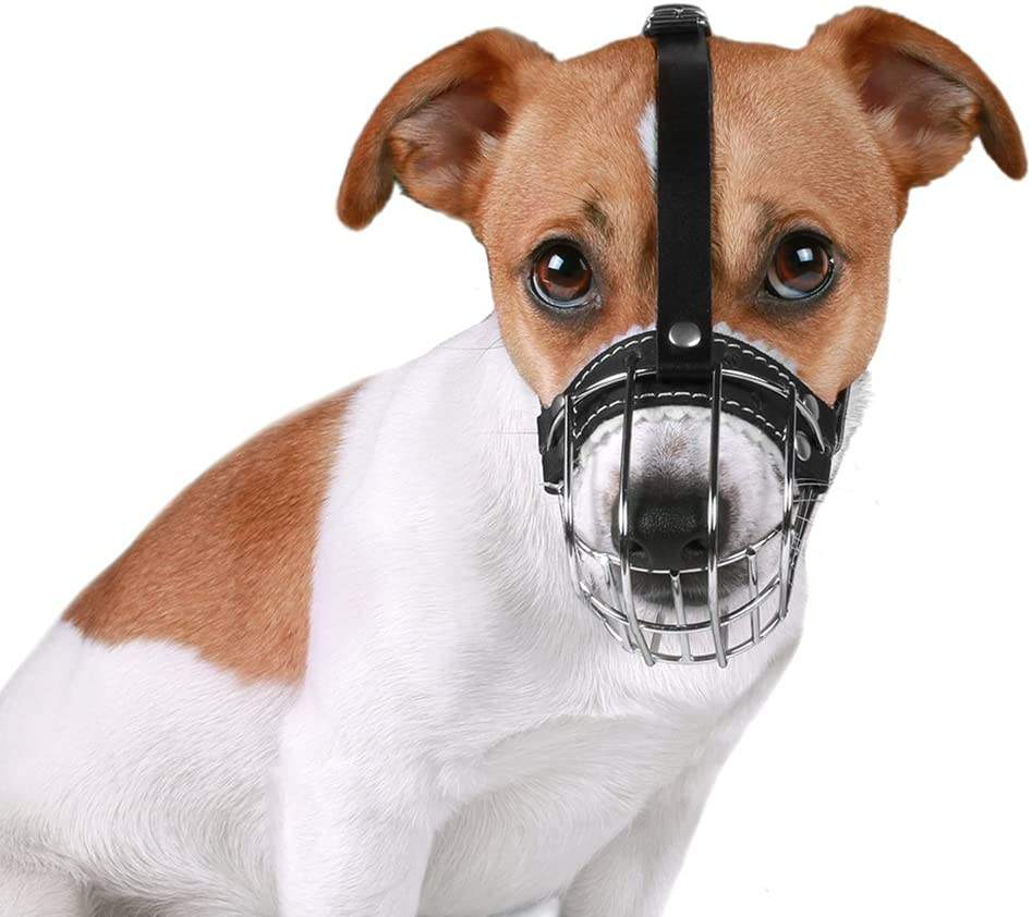 ตามภาพที่แสดง