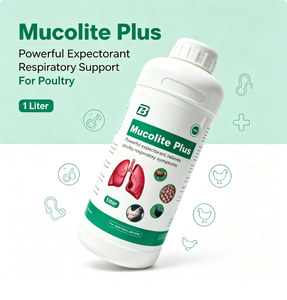 Soluzione Orale Espettorante Veterinaria Antitussiva Liquido per la Rimozione del Muco per Suini, Ruminanti, Pollame - Trattamento per la <span class=keywords><strong>Tosse</strong></span> in Allevamenti - Product Image 3