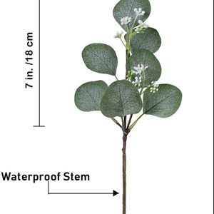 Offre Spéciale et belle graine artificielle tige de feuille d'eucalyptus en vrac artificielle argent dollar feuille d'eucalyptus plante - Product Image 2