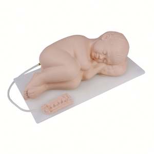 KyrenMed Simulator tusukan <span class=keywords><strong>Lumbar</strong></span> anak, Model tusuk pinggang bayi - Product Image 2