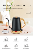 Bouilloire électrique à bec flexible thermostatée en acier inoxydable pour café filtre à domicile avec thermomètre