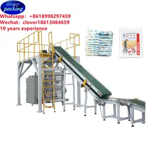 pet food Automatic Rice Secondary Packaging Machine Rice Packing Machine detergent powder