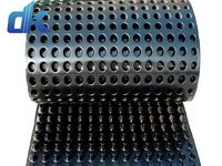 Feuille de fossette de panneau de Drainage de HDPE de géocomposite personnalisé par usine pour l'imperméabilisation utilisée dans l'eau d'enfouissement de pelouse de jardin de toit
