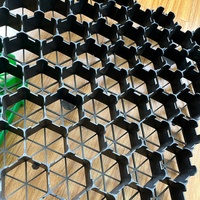 Grille de jardin en plastique recyclé noir Shengfeng moderne en nid d'abeille pour plantes, 2,5 mm 2,6 mm 9 cm 10 cm, directement de l'usine