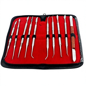 Juego de Instrumentos Quirúrgicos Dentales de Acero Inoxidable con Empuñadura Moleteada, Herramientas Manuales Clase I, Estuche Rojo - Product Image 1