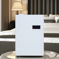 Diffuseur de parfum d'huile essentielle d'hôtel humidificateur électrique mural CE Rohs HVAC intelligent Vente en gros