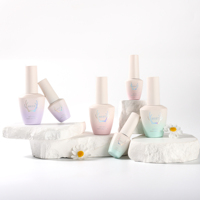 Nouvelle arrivée 4ml 12ml de vernis à ongles de couleur dégradée pastel bouteille vide avec brosse fournisseur professionnel d'emballage de bouteille de vernis à gel