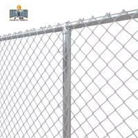 Clôture en grillage cyclonique galvanisé 60 x 60, 50 x 50, 1,6 m/1,8 m/2,1 mm, 2,5 mm x 25 m
