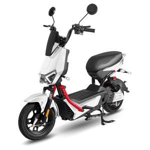 Trottinette électrique R3 légère (40 kg) avec freins à moyeu avant et arrière pour les trajets urbains - Product Image 3