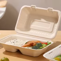 G9 15% de réduction – Contenant alimentaire jetable biodégradable en amidon de maïs, boîte à lunch, vaisselle, ensemble de dîner, emballage en pulpe de bagasse