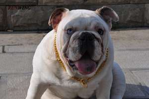 Collar de cadena para perro, gargantilla de Metal, Collar para perro - Product Image 6