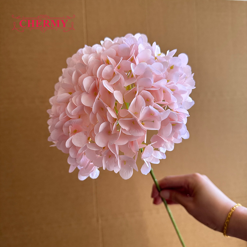 #4 hortensias roses à grosse tête - 18 cm